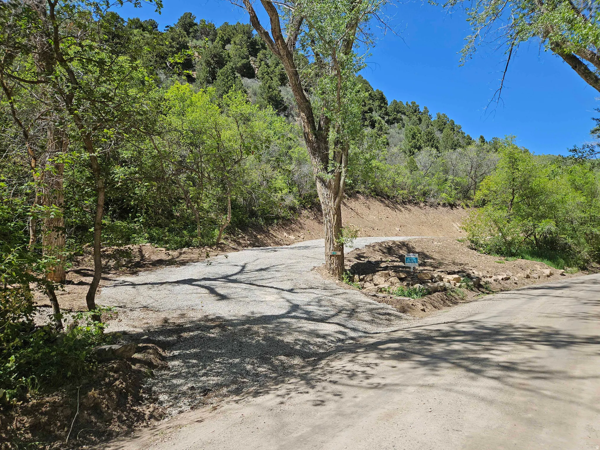 Gravel road extending into a wooded hillside, featuring mature trees and a clear blue sky