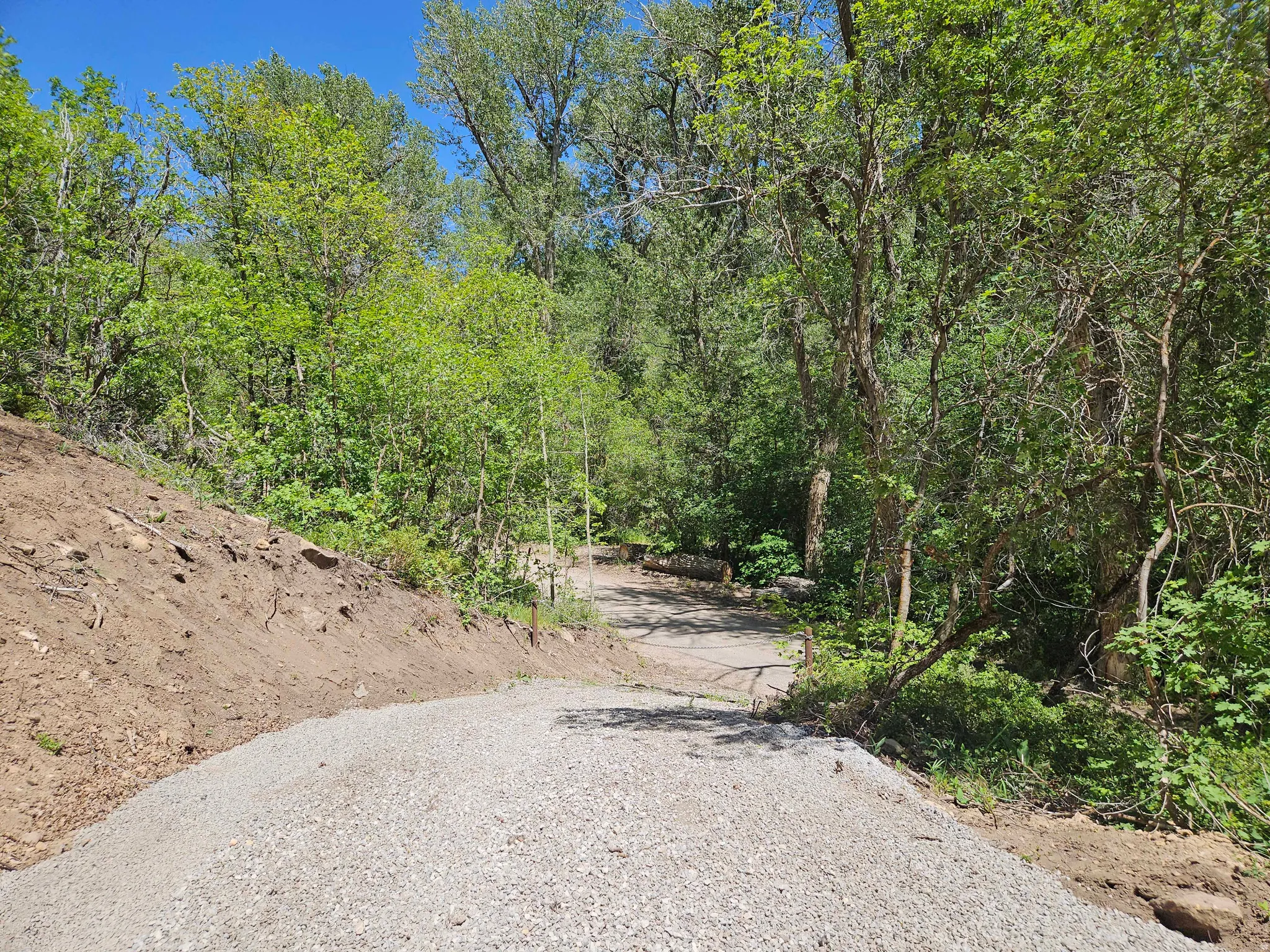 Gravel pathway bordering an earthen slope, surrounded by mature trees and lush green foliage