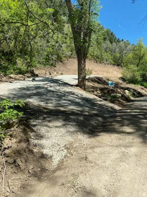Gravel driveway with natural landscaping and mature trees