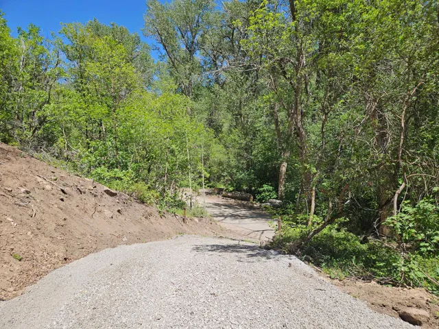 Gravel pathway bordering an earthen slope, surrounded by mature trees and lush green foliage