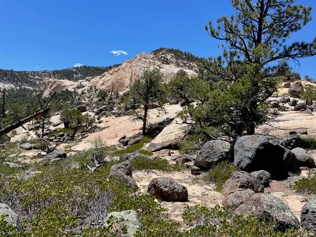 Mountain view