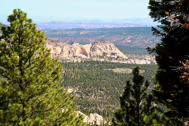 View of mountain background featuring a forest