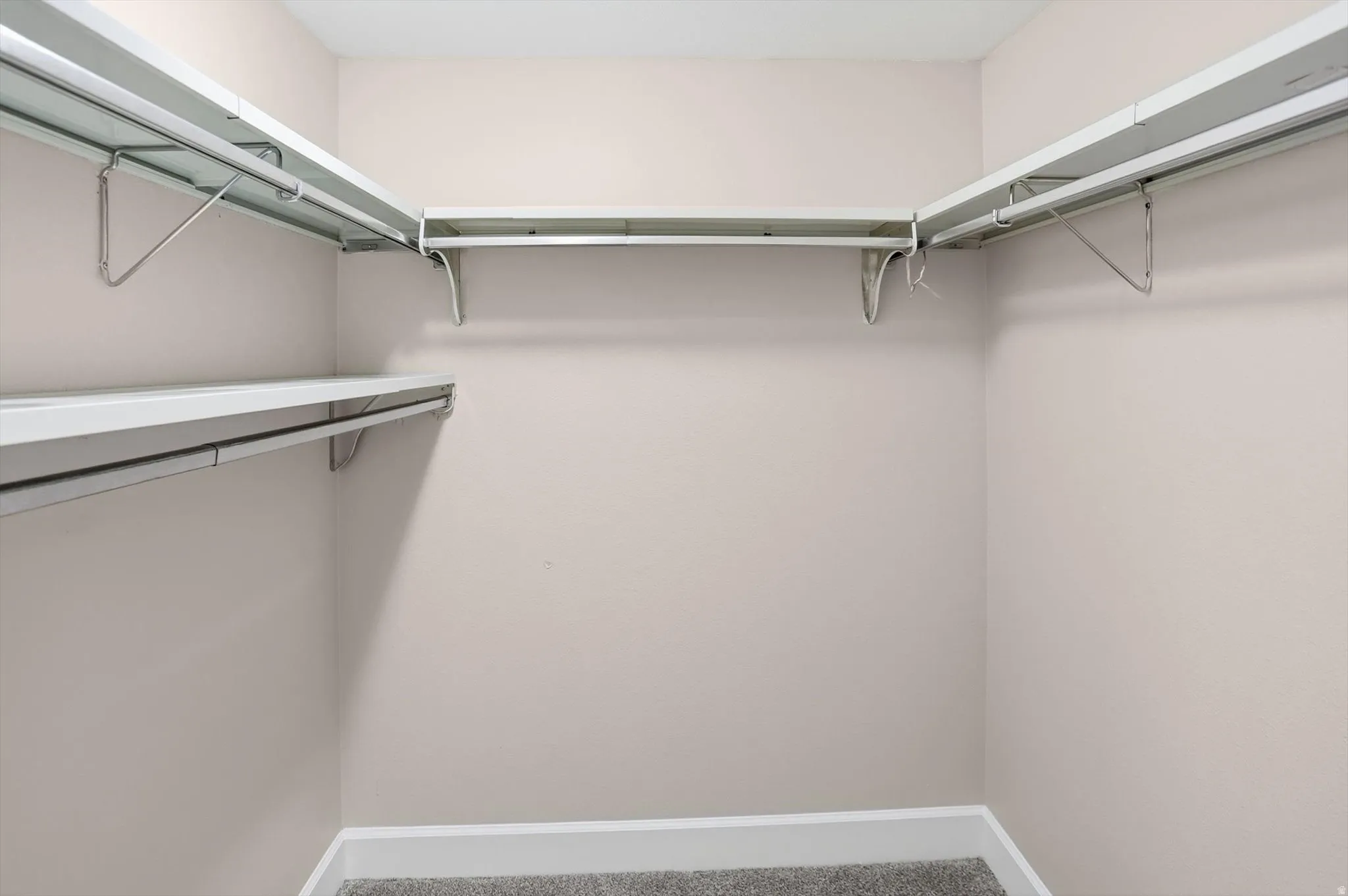 Walk in closet featuring carpet floors