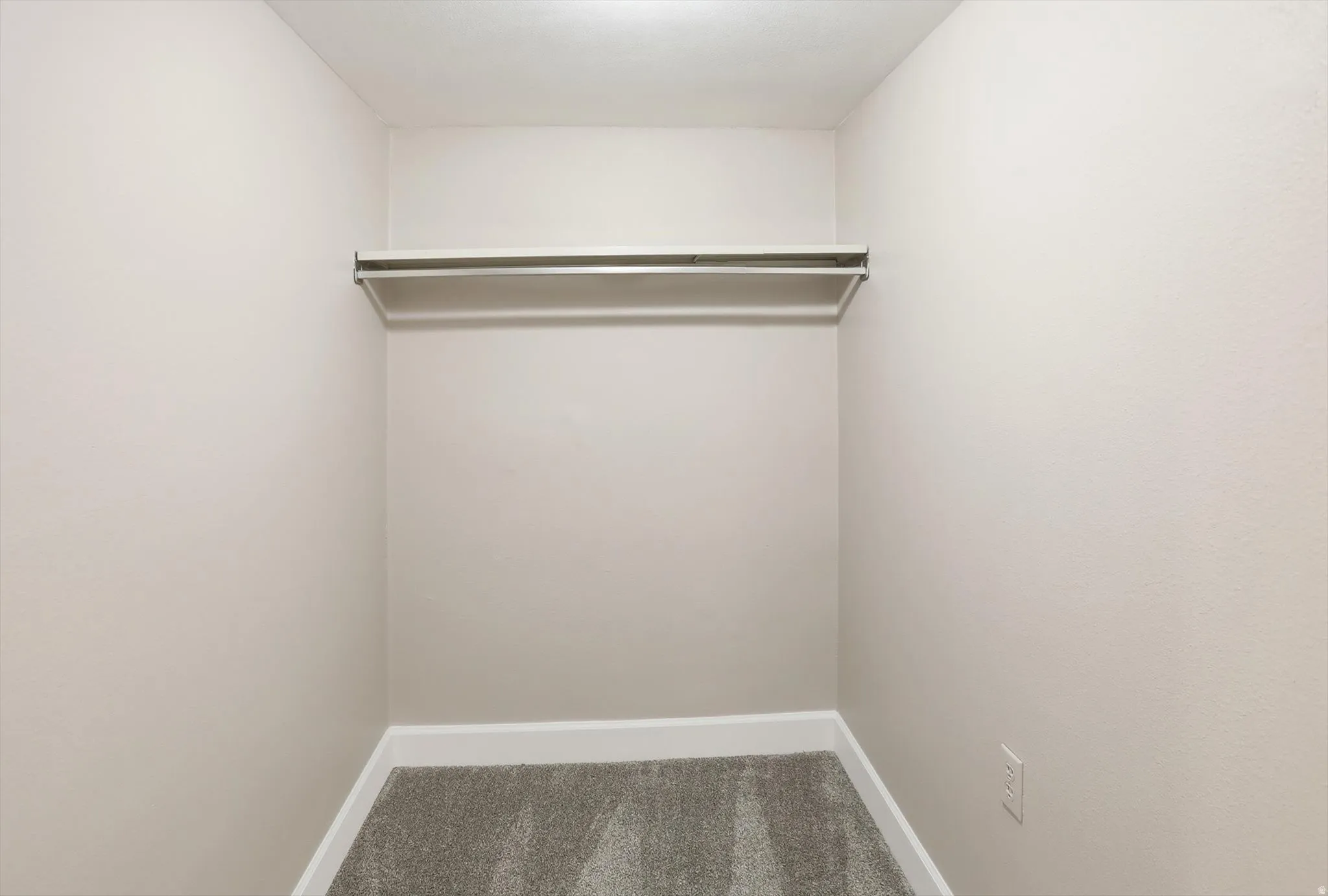 Walk in closet featuring carpet flooring