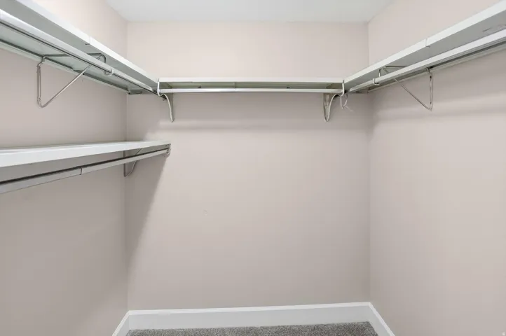 Walk in closet featuring carpet floors