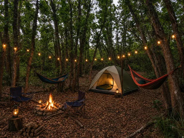 Wooded area featuring a stone-ringed fire pit, string lighting, and mature trees