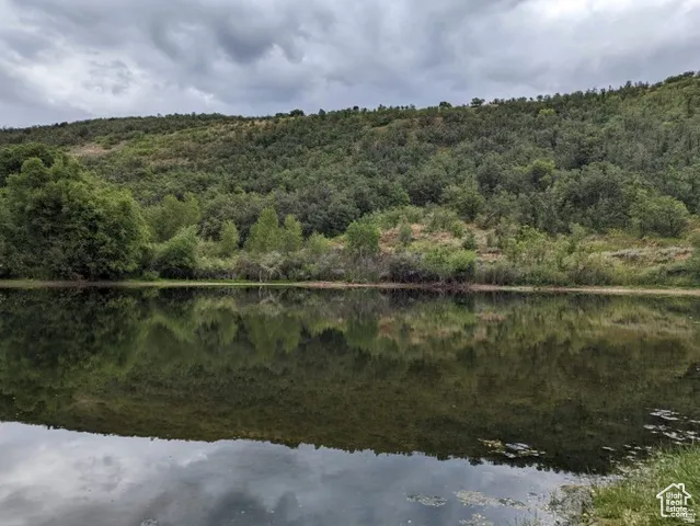 HOA Fishing Pond