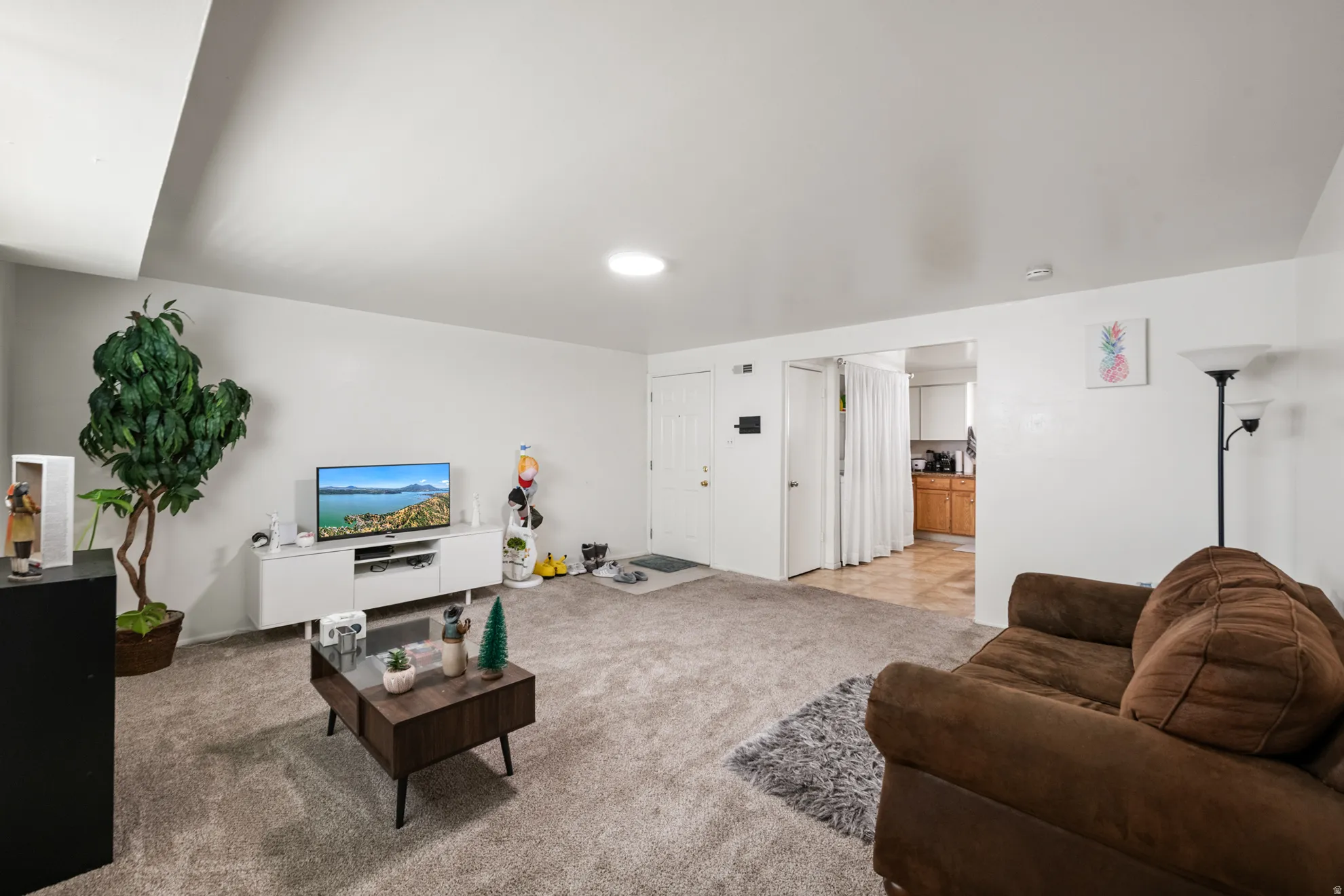 Living area with light carpet
