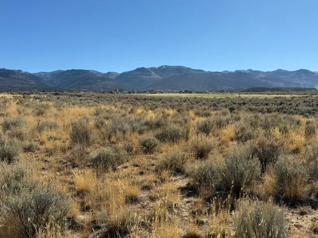 View of mountain background