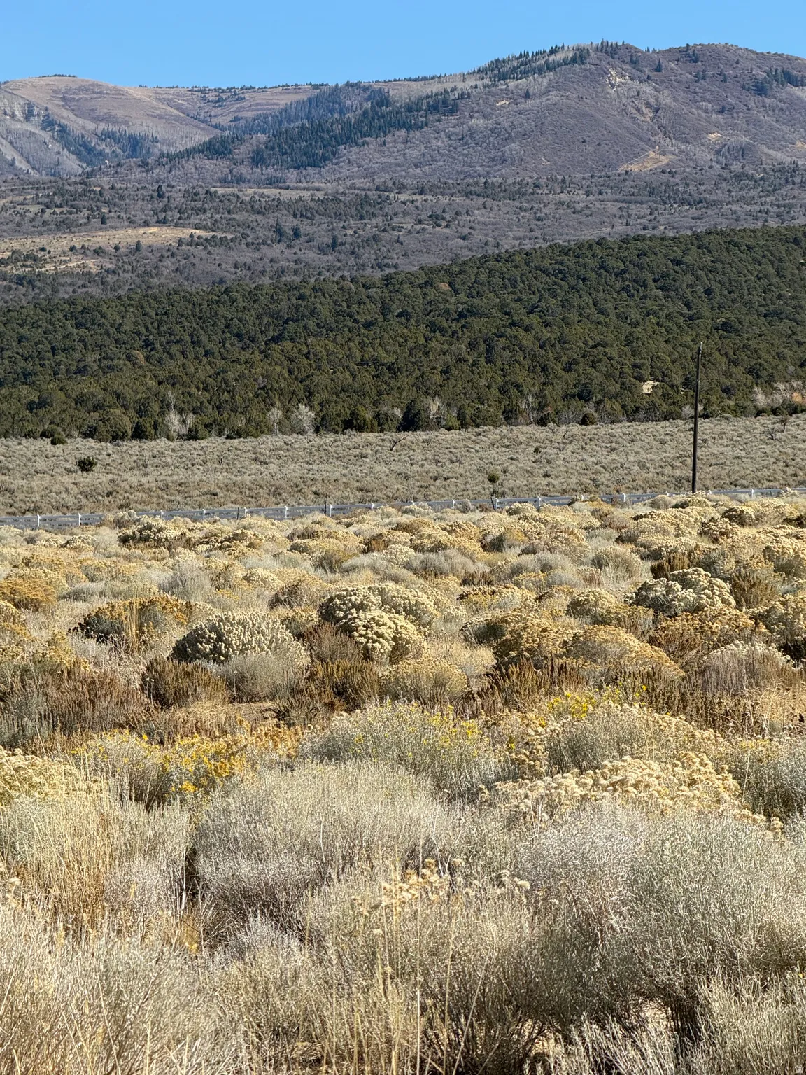 View of mountain background
