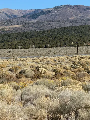View of mountain background