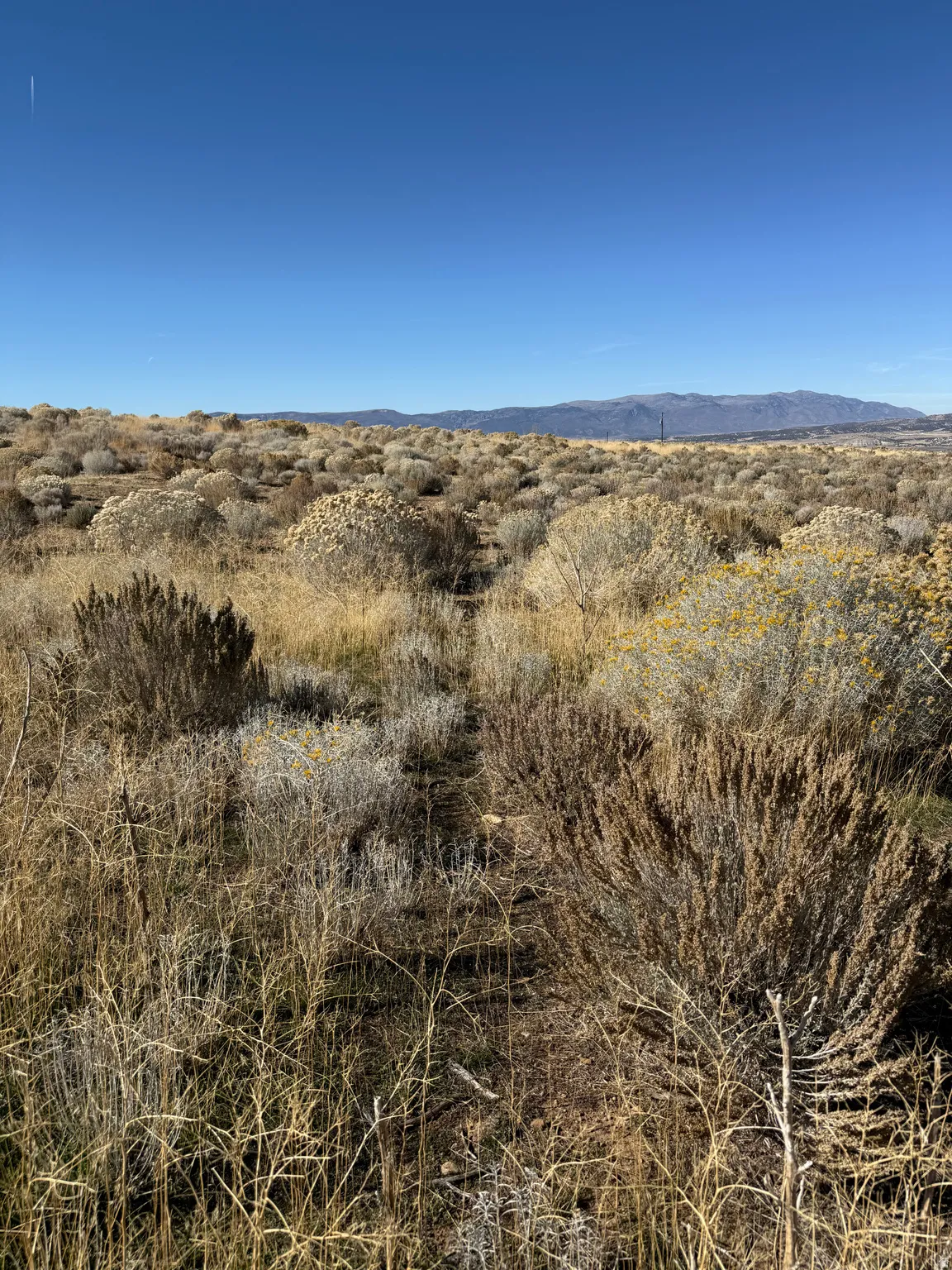 View of mountain background