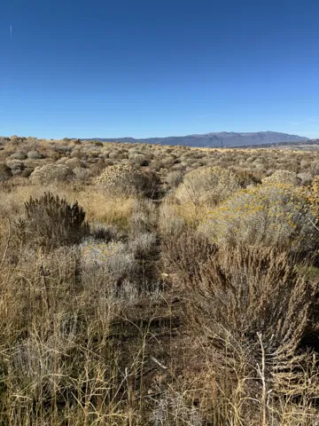 View of mountain background