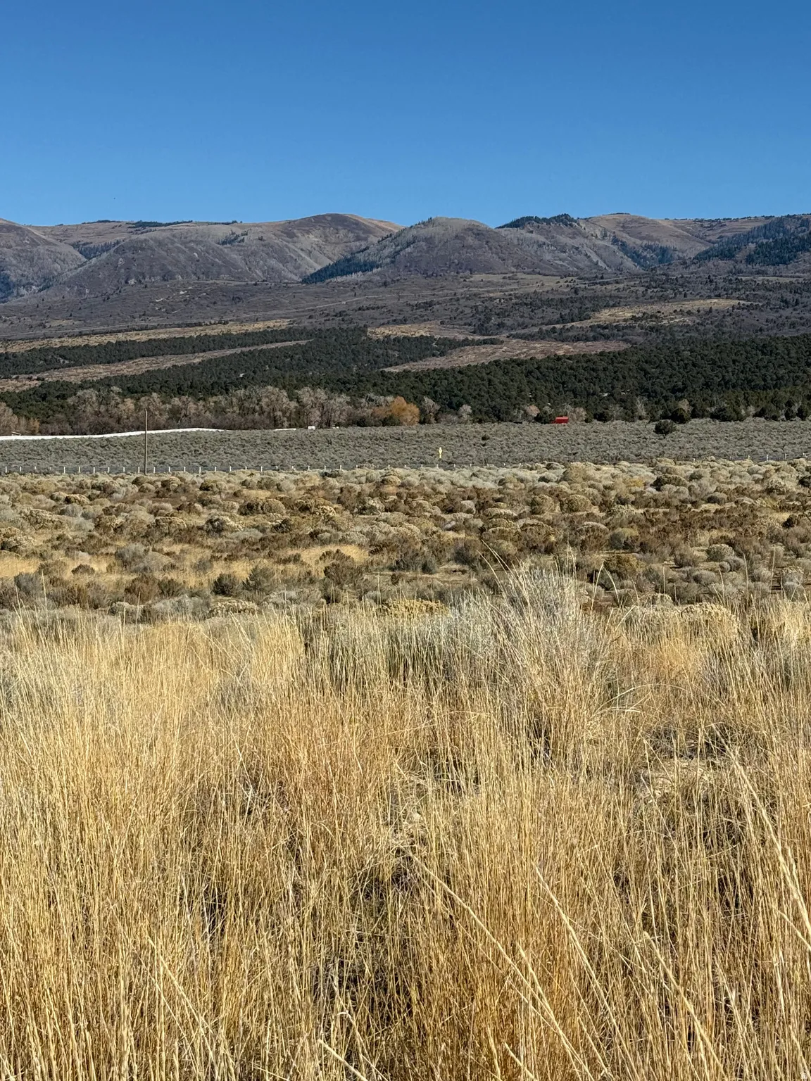 View of mountain background with rural landscape