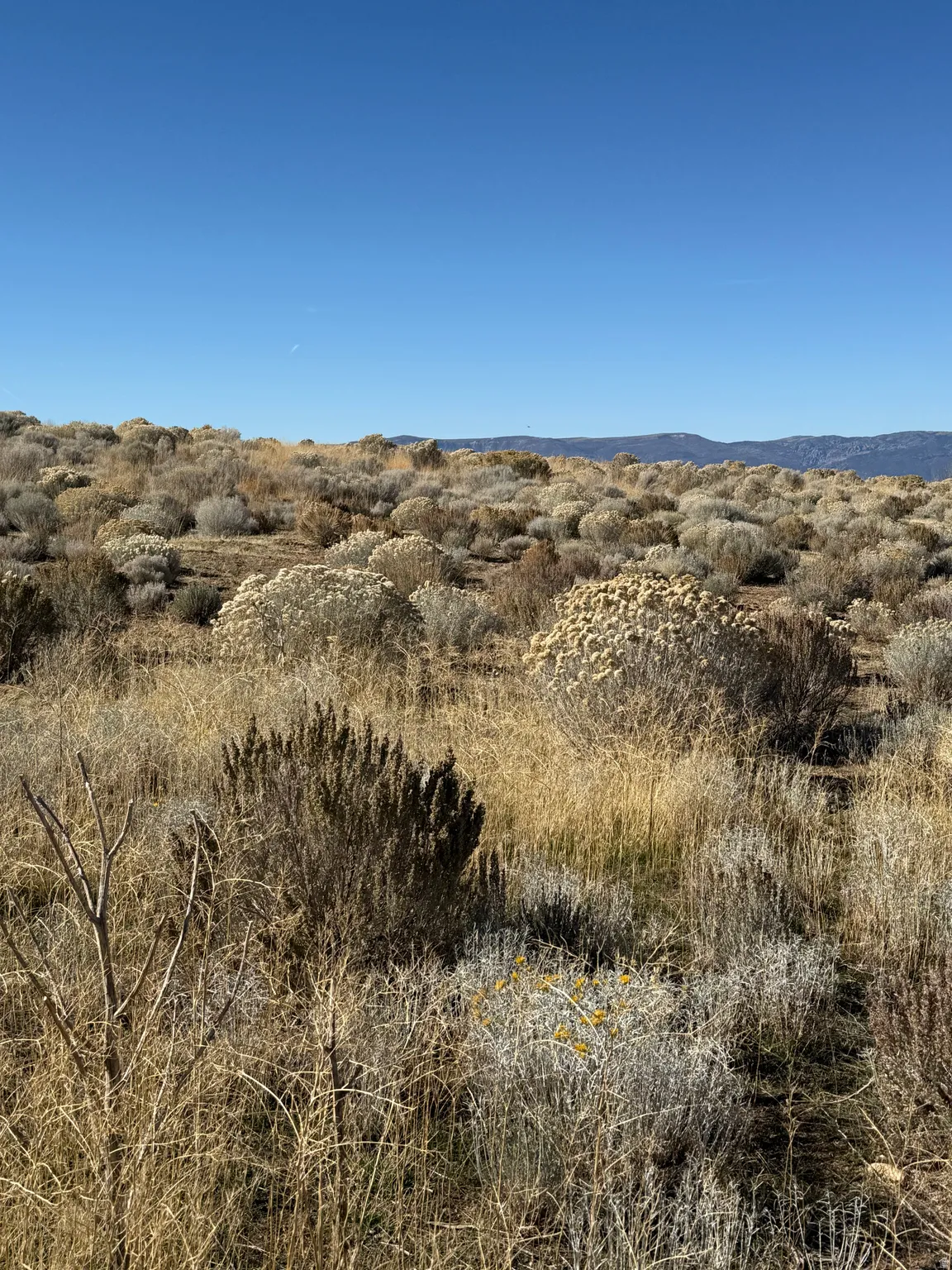 View of mountain background featuring rural landscape