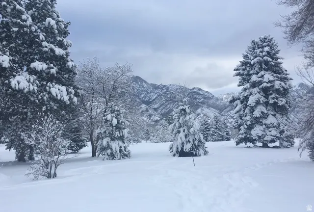 View of mountain backdrop