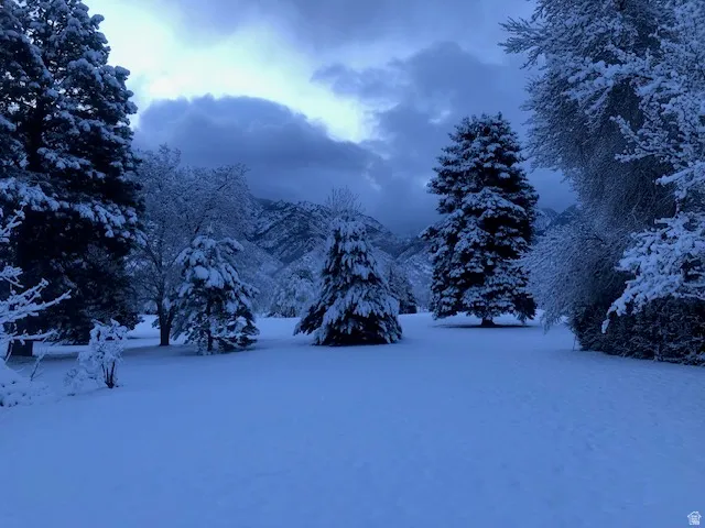 View of snowy yard