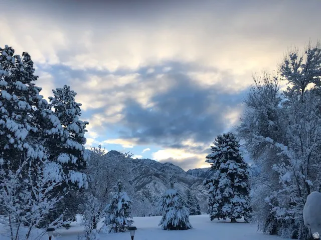 Mountain view