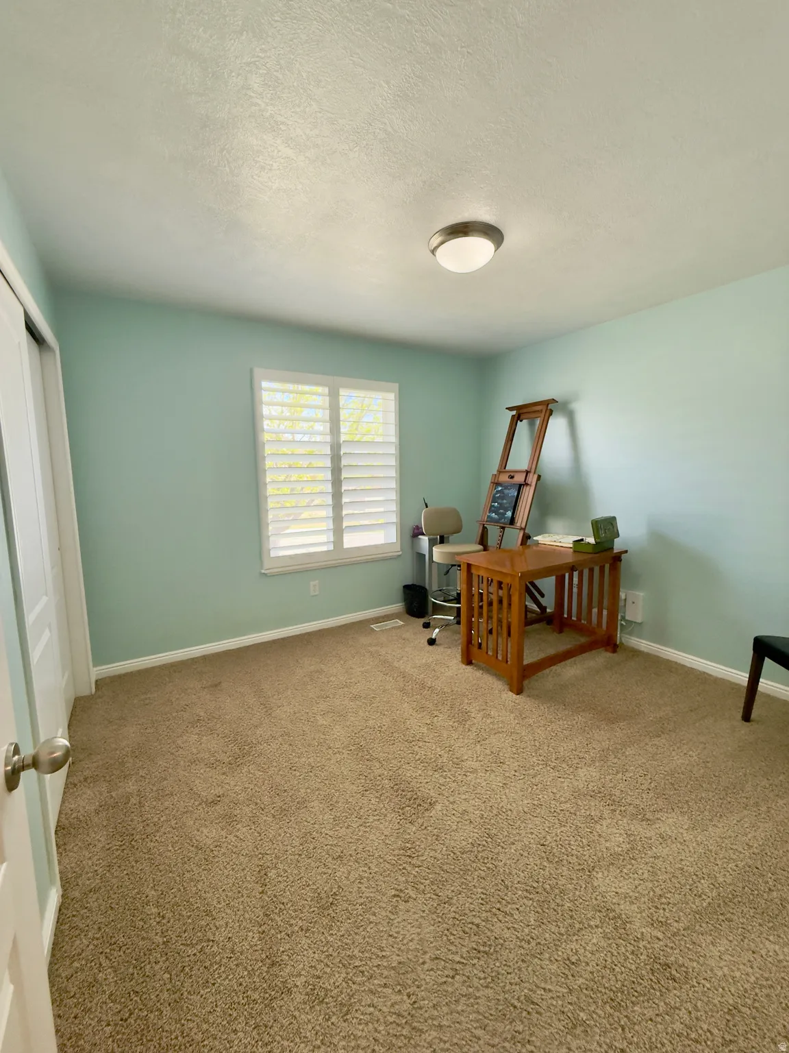 Office featuring light colored carpet and a textured ceiling