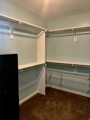 Walk-in closet featuring light blue walls, brown carpet, white built-in shelving, white hanging rods, and white wire shelving
