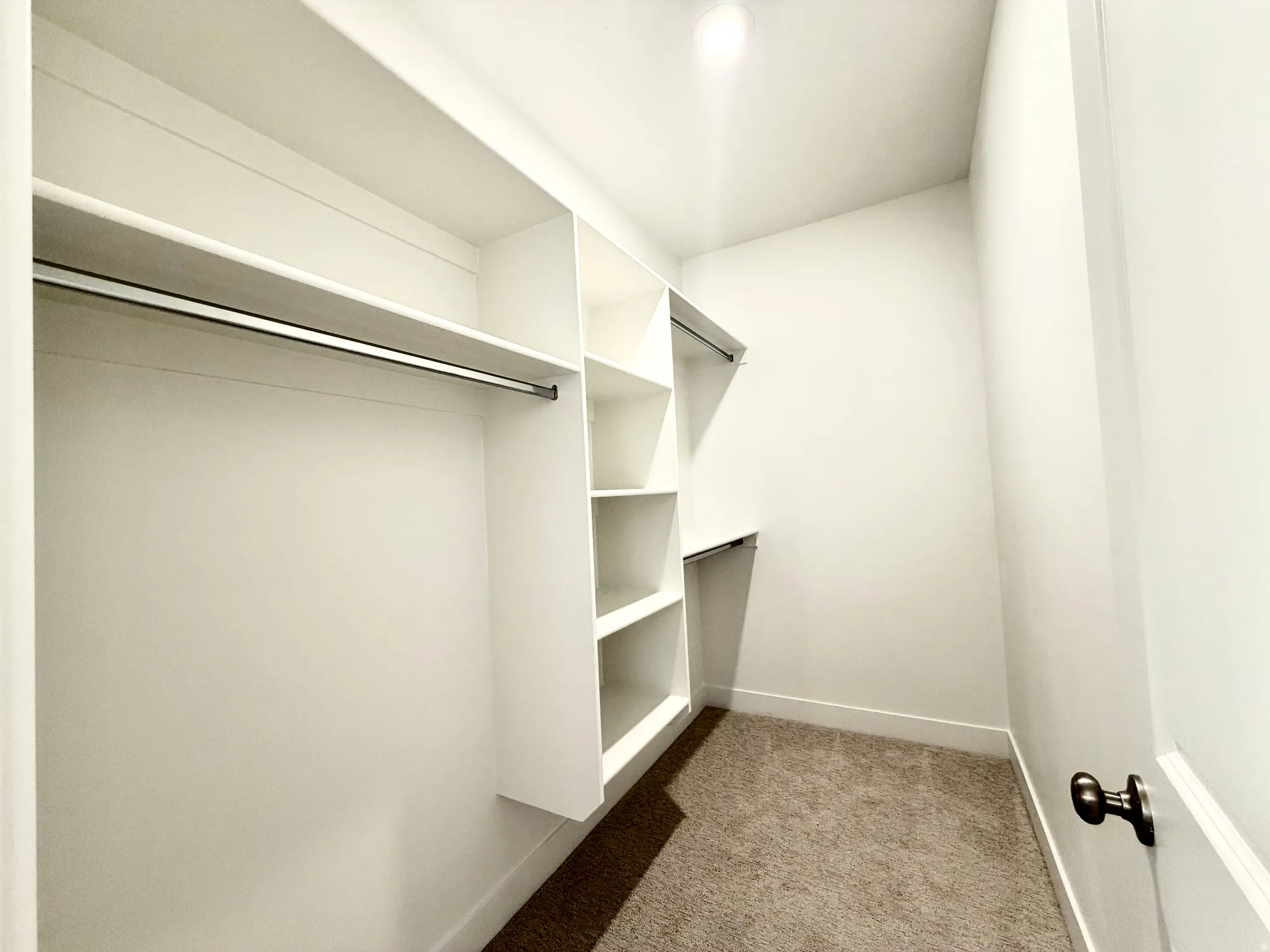 Walk-in closet with built-in shelving, multiple hanging rods, and carpet flooring