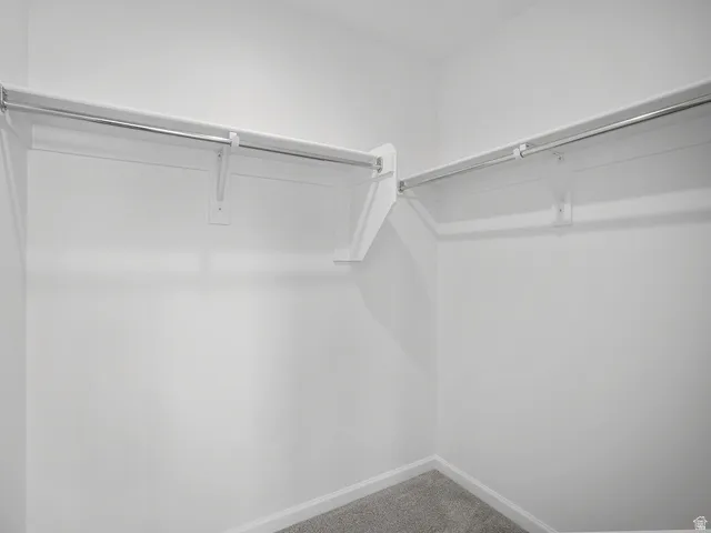 Spacious walk-in closet featuring white walls, white trim, and light gray carpet