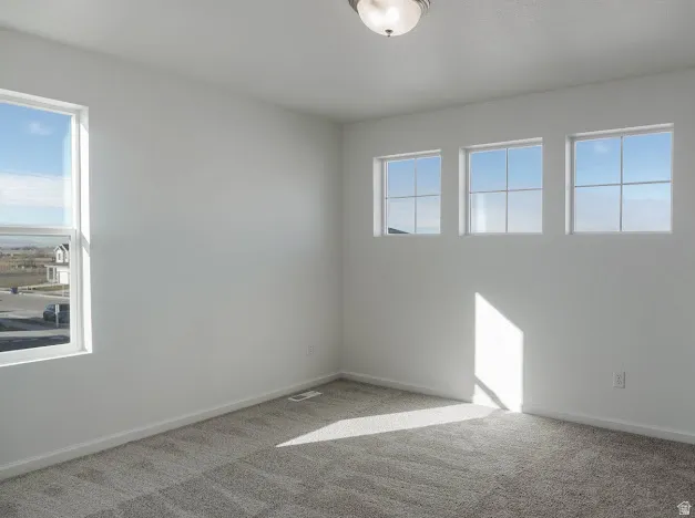 Carpeted spare room with healthy amount of natural light