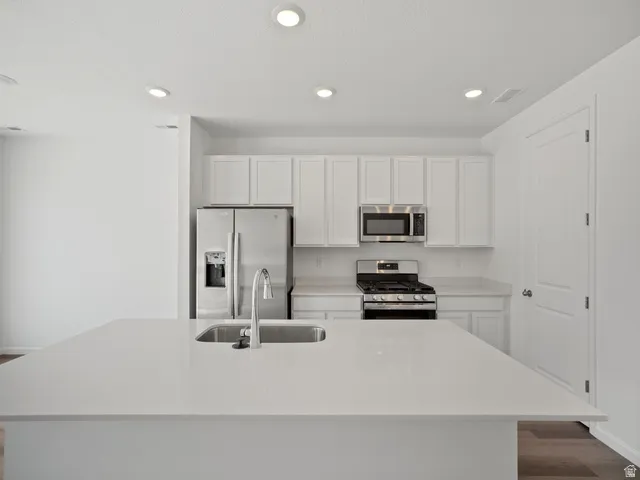 Kitchen featuring a large central island with an undermount sink and gooseneck faucet