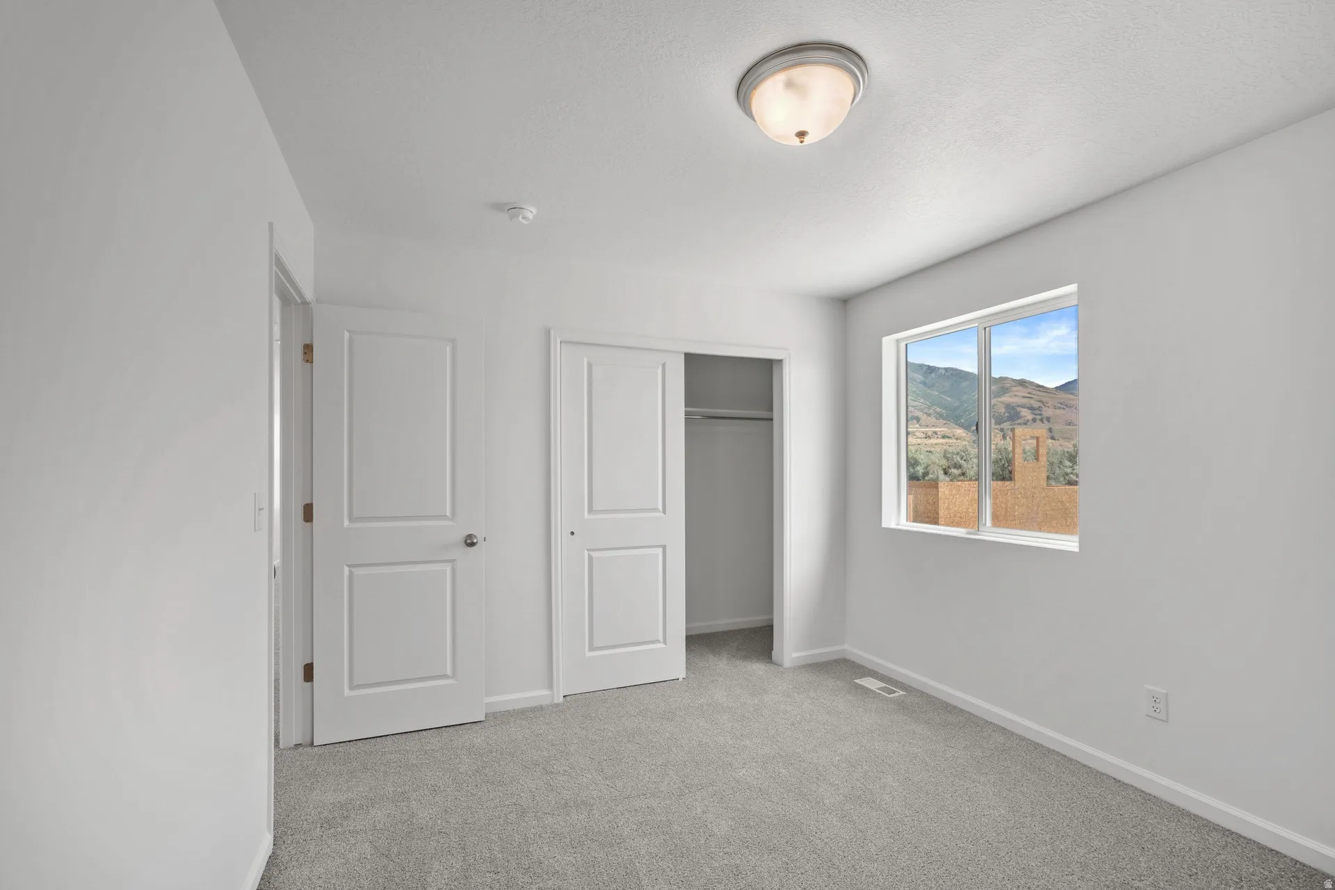 Bright interior space featuring a window with mountain scenery, neutral-toned carpeting, white walls, a flush-mount ceiling light fixture, and a closet with sliding panel doors
