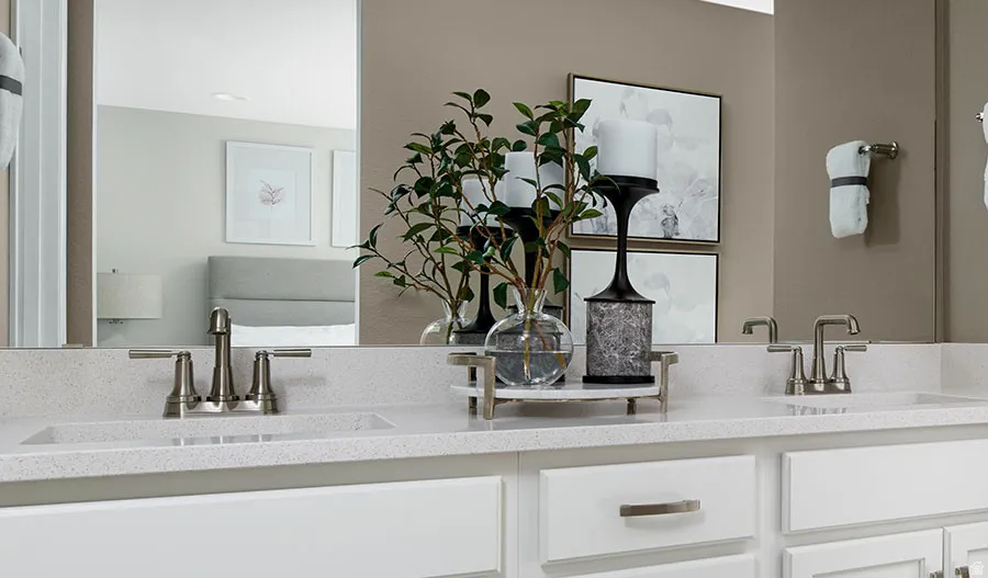 Bathroom with double vanity