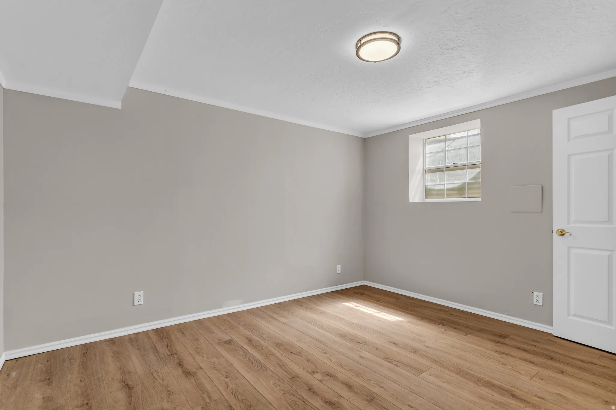 Empty bedroom featuring light wood finished floors, ornamental molding, and a textured ceiling