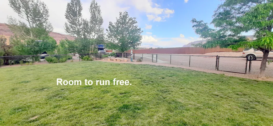 Large fenced space.