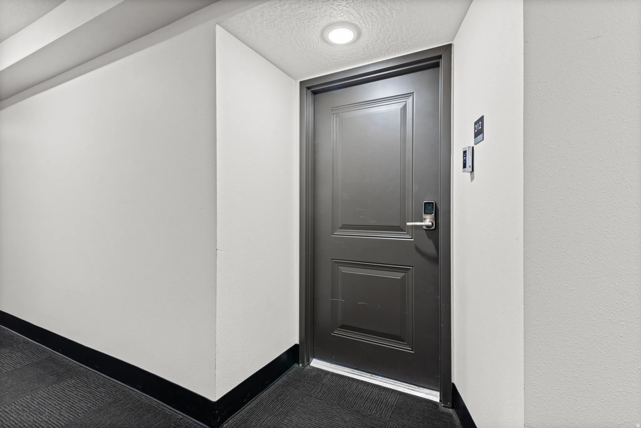 Panel door with contemporary hardware and a digital lock, featuring a flush-mount ceiling light and carpet flooring