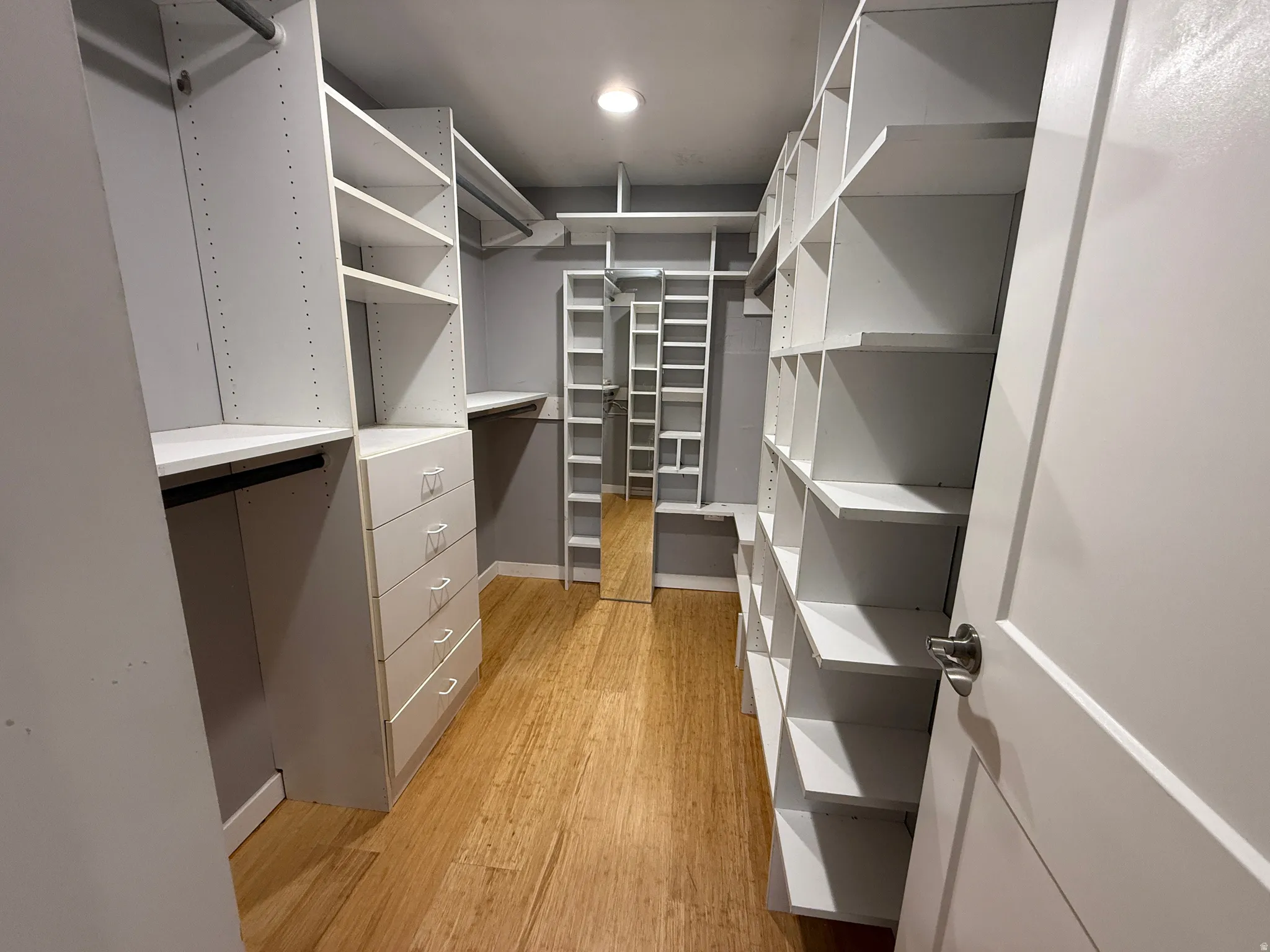 Master bedroom Walk in closet with light wood finished floors