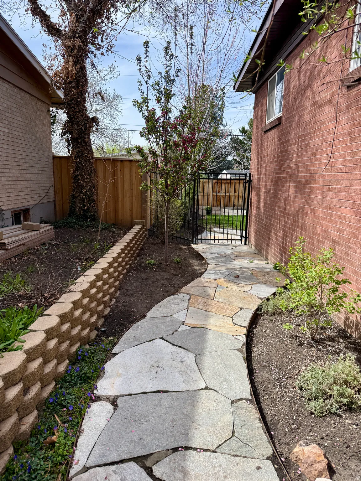 Walkway and iron Fence