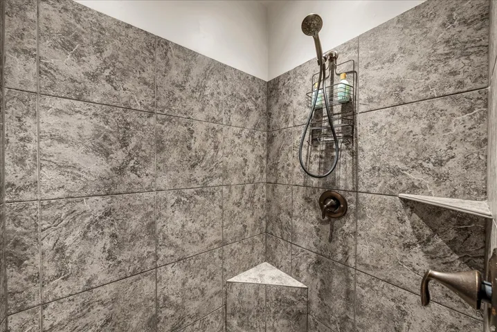 Primary Bathroom view of tiled shower
