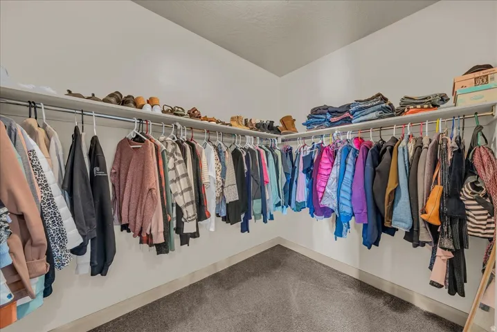 Walk-in closet featuring carpet flooring in Primary Suite