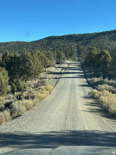 View of dirt / gravel road featuring a wooded view