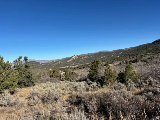 View of mountain background