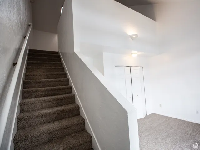 Staircase with carpet flooring and baseboards