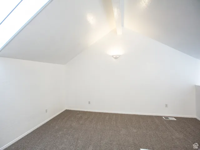 Additional living space featuring dark carpet and a skylight