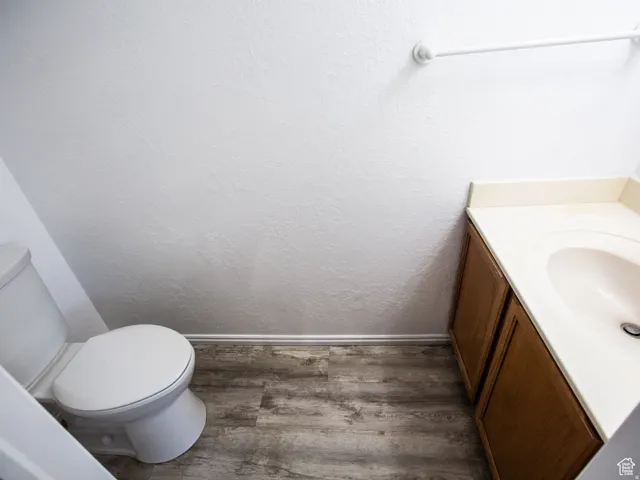 Bathroom featuring vanity and dark wood-type flooring