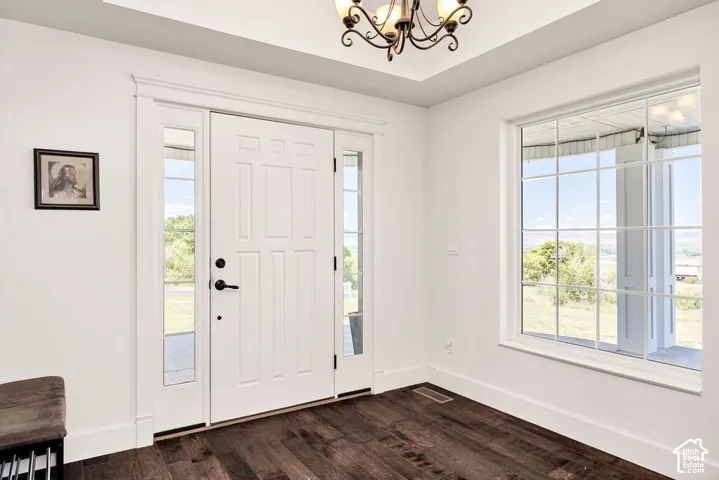 Entryway featuring a paneled front door with sidelights, dark wood-finish flooring, and a large grid-pattern window