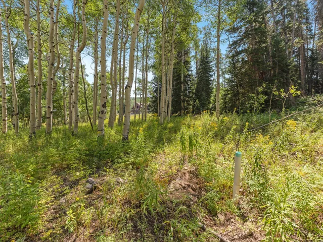 4403 Fawn Way, Heber City, Utah 84032