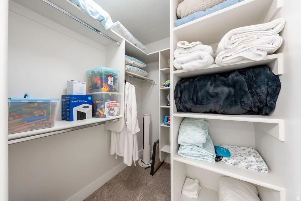 Walk in closet with light colored carpet