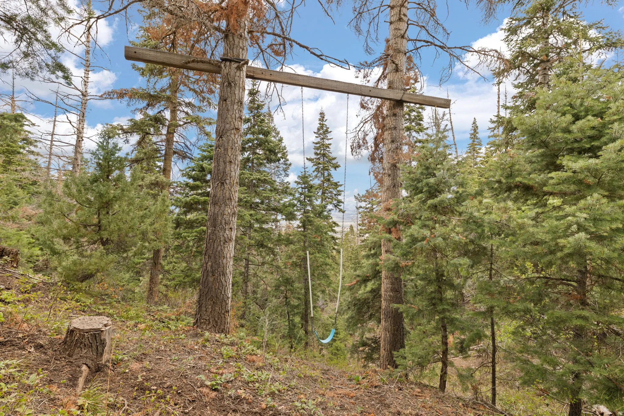 Cliff swing