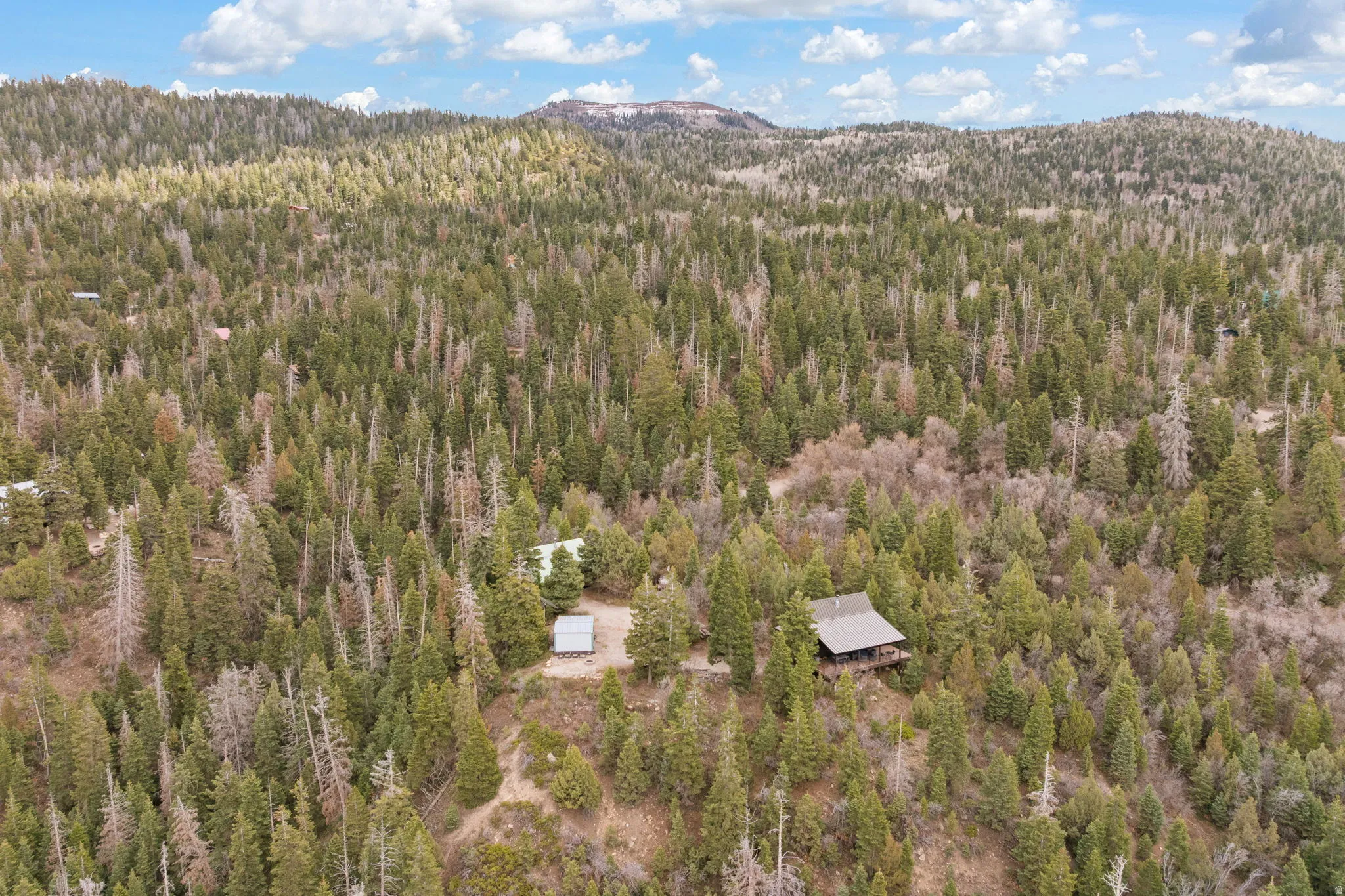 Aerial view of a heavily wooded area and a mountainous background