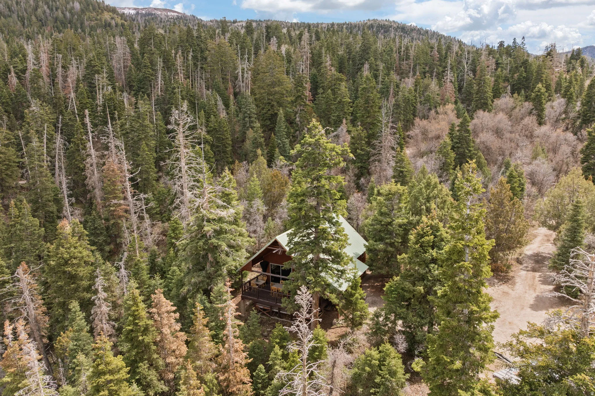 Cabin 2 - East; Aerial view of property and surrounding area featuring a forest