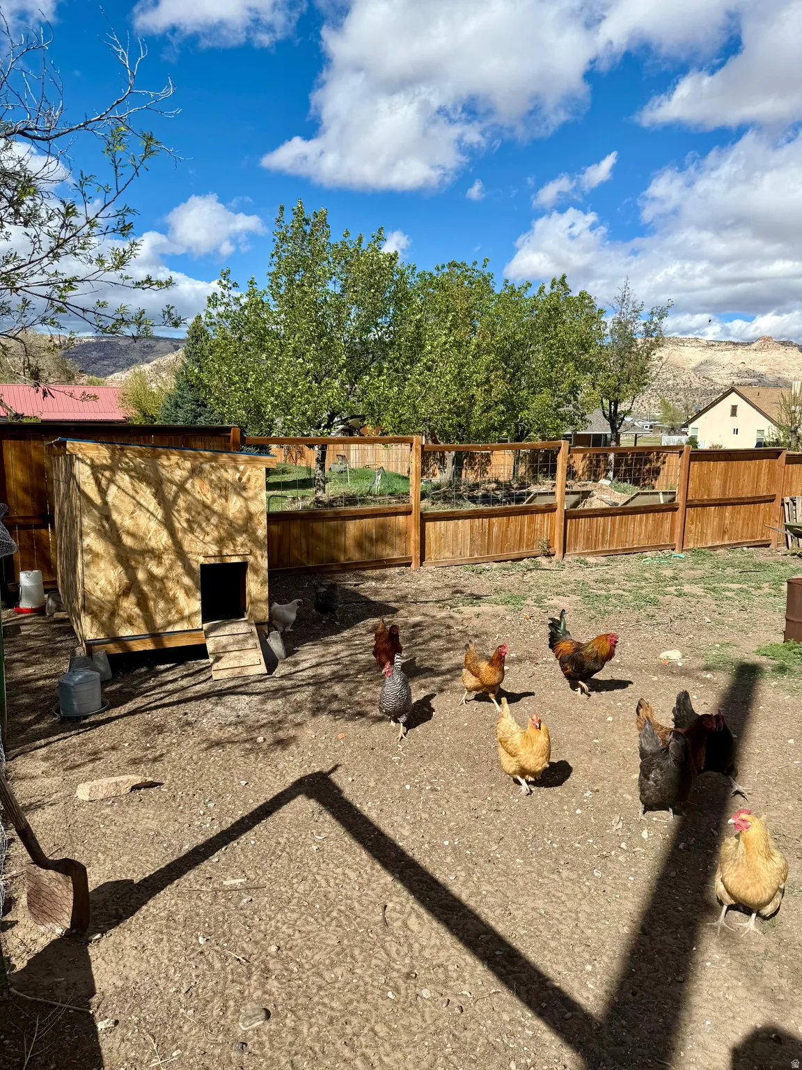 Fenced backyard with a mountain view and an outdoor structure