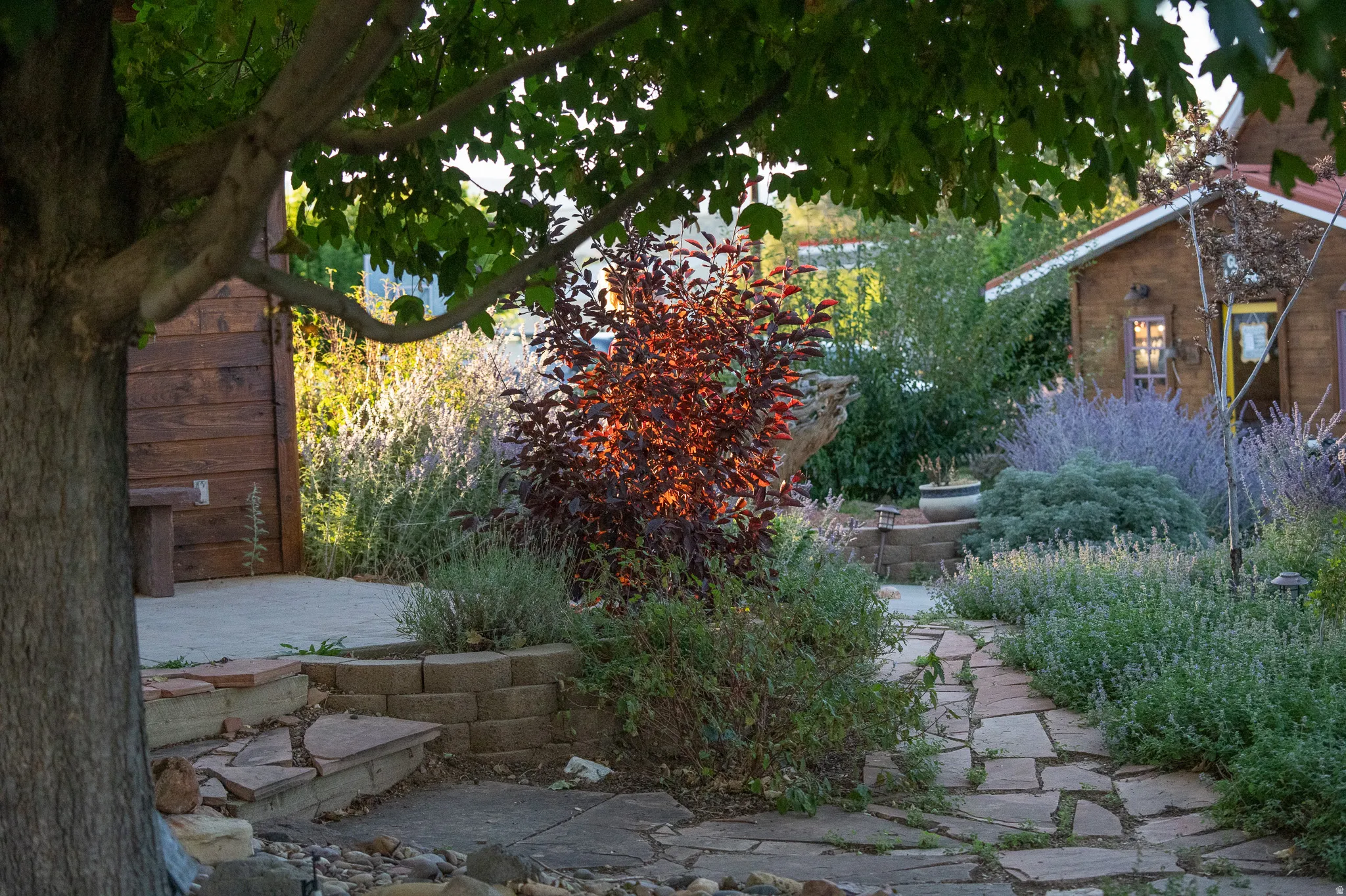 View of yard with a patio